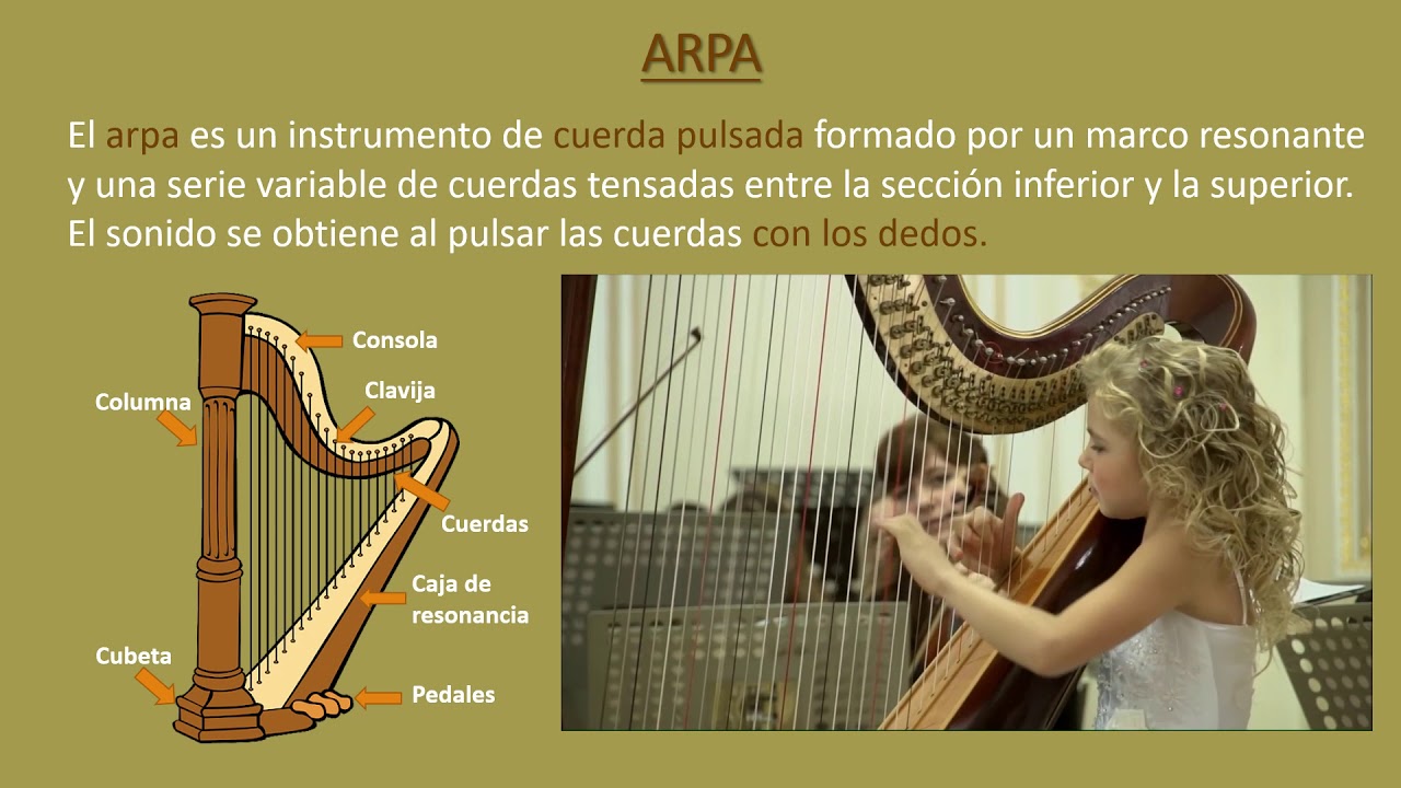 Cuerda pulsada