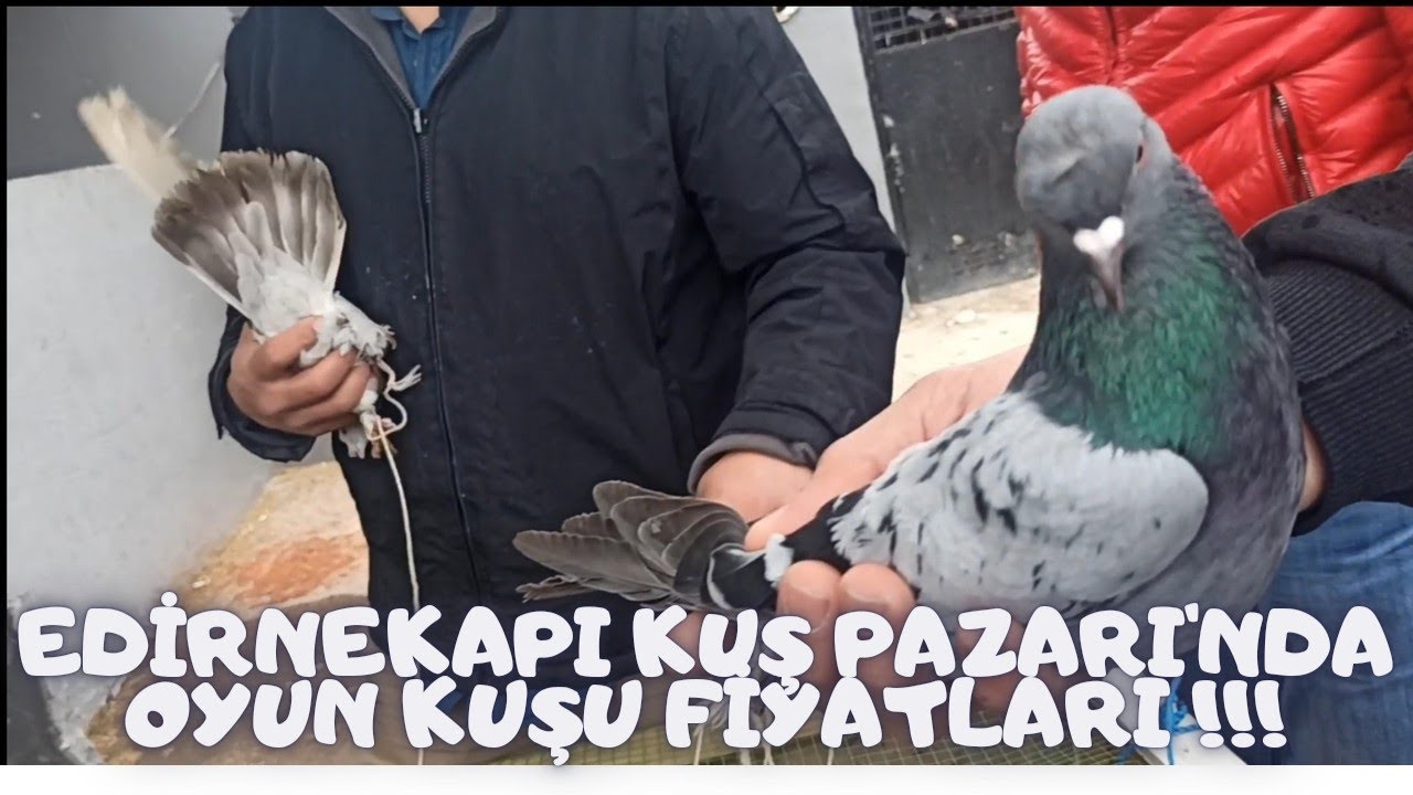17-04-2022 Edirnekapı Kuş Pazarı 2.Bölüm.