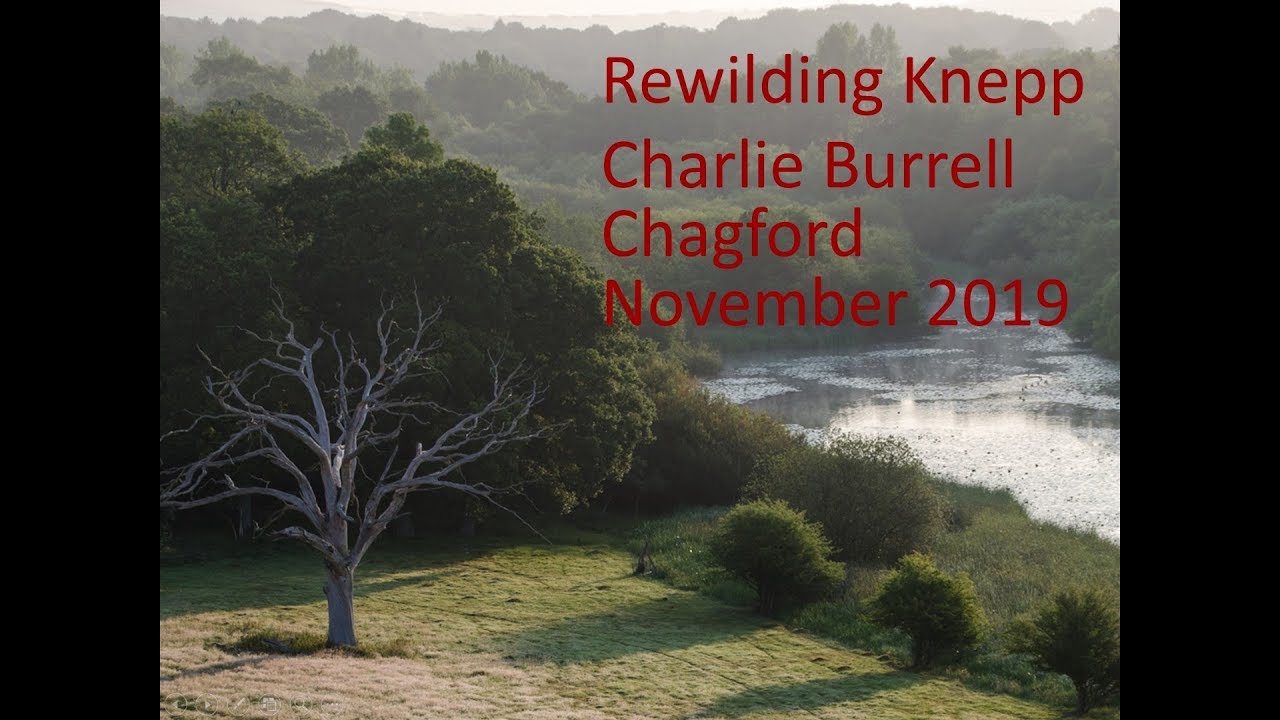 Rewilding Knepp, a talk by owner Charlie Burrell
