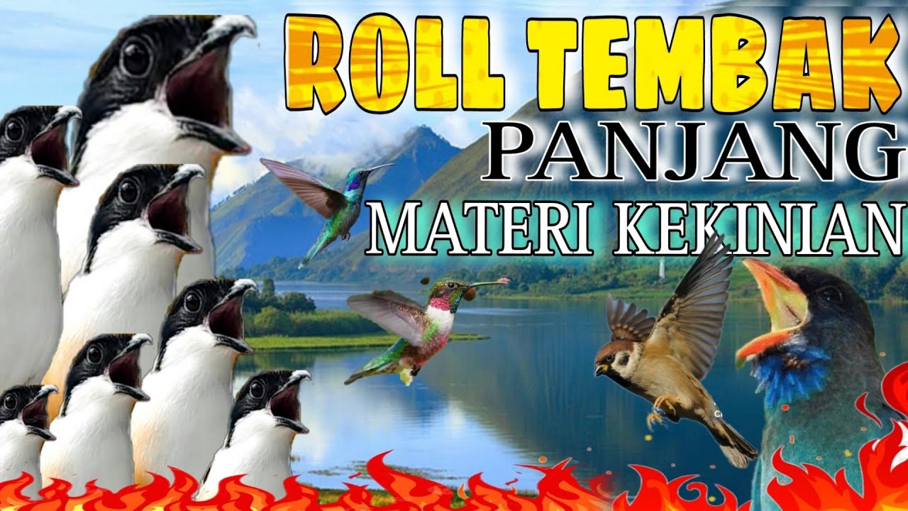 MASTERAN CENDET ROLL TEMBAK PANJANG full materi kekinian 🔴 dijamin tembakan dahsyat super panjang