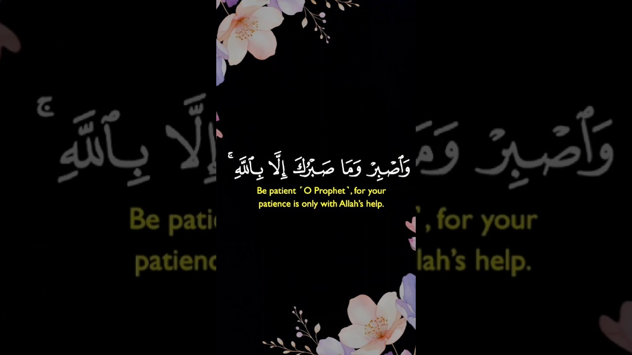 The best book in the world is the Quran. 