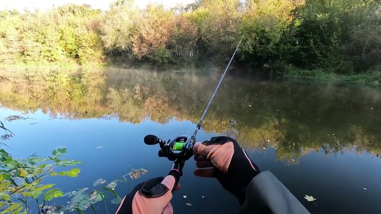 Abu Garcia Revo LTX BF8  + KUYING SUPERLITE Ajing SAC762S . Тест на воде.