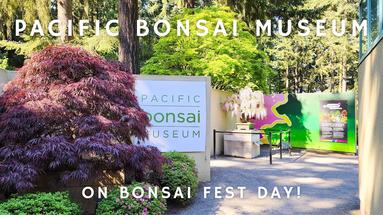 Pacific Bonsai Museum Walk on Bonsai Fest! day
