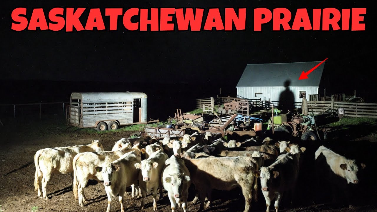 3 Most Disturbing TRUE Saskatchewan Prairie Horror Stories | Nameless Fears