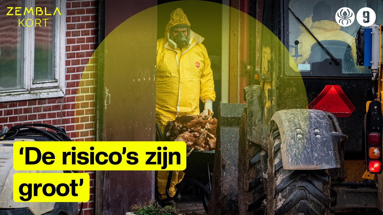 De strijd tegen vogelgriep | Zembla Kort