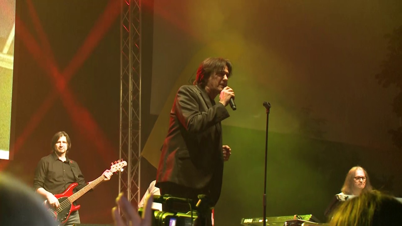 Zdravko Colic   Koncert Vienna 2017