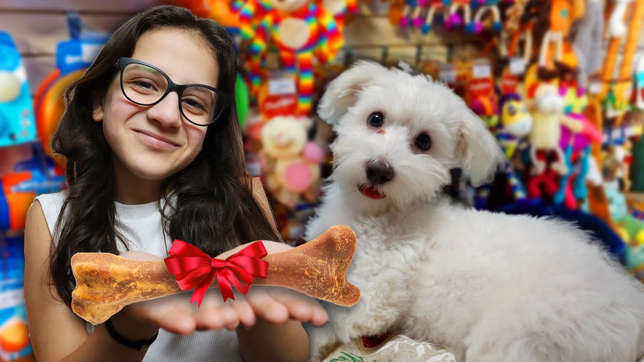 A KISKUTYÁNK KARÁCSONYA!🐶🎄(mi lett a neve...?)