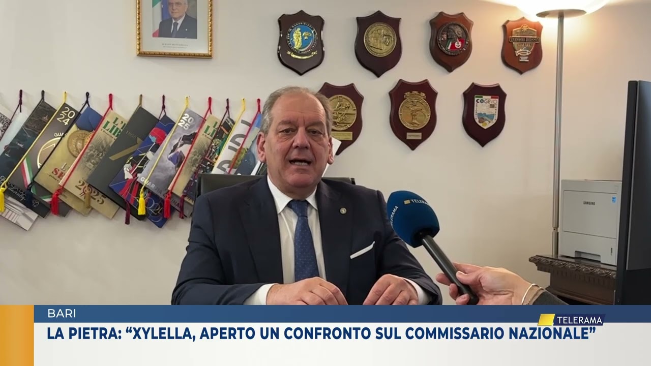 BARI. LA PIETRA: 