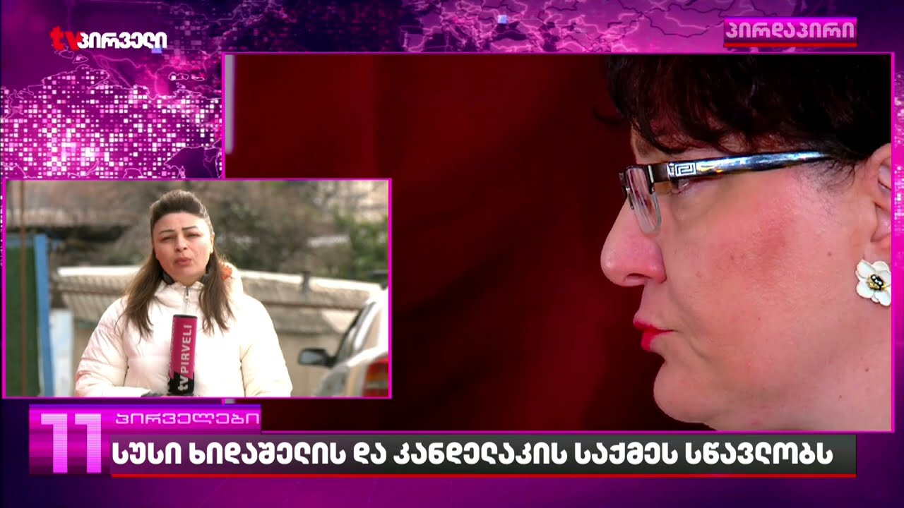 სუსში თინა ხიდაშელისა და გიორგი კანდელაკის  მიერ მომზადებული კვლევების შესახებ გამოძიება დაიწყეს
