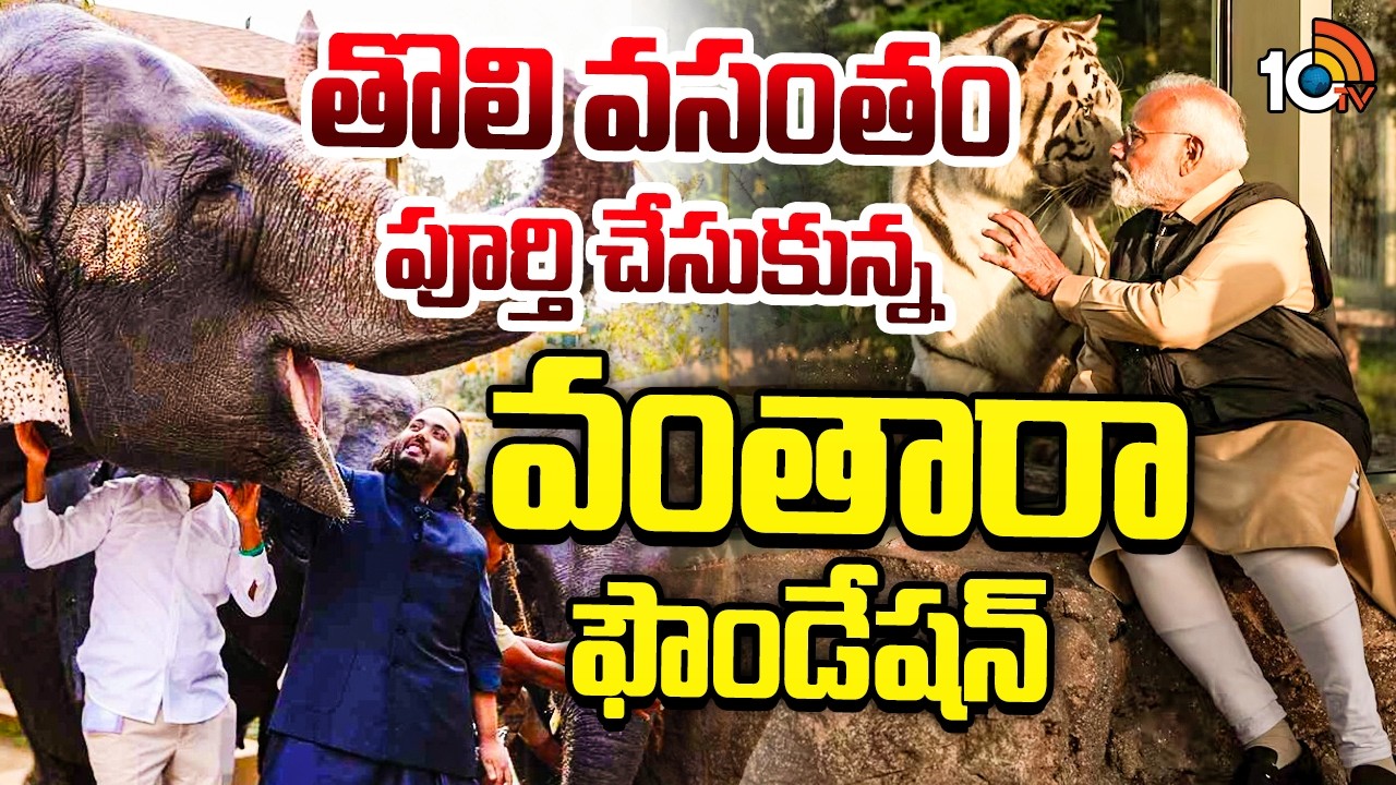 తొలి వసంతం పూర్తి చేసుకున్న వంతారా ఫౌండేషన్‌ | One Year For Vantara Wild Life Rescue | 10TV News