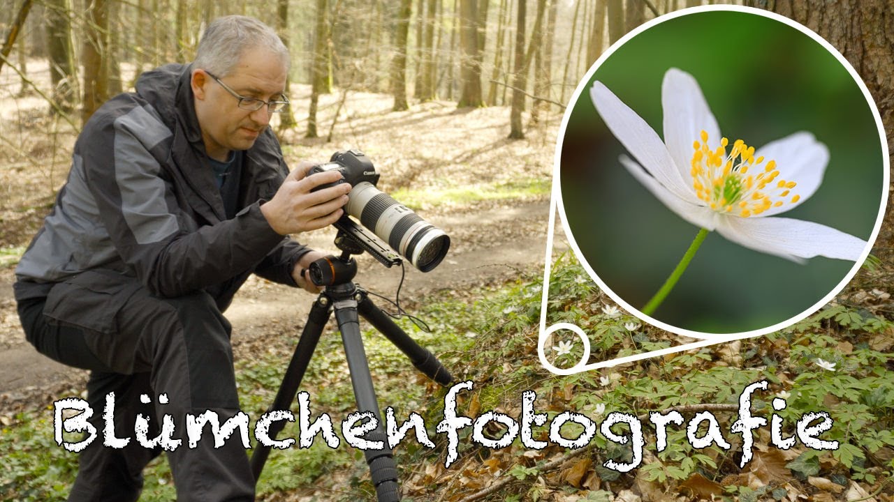 Blümchenfotografie mit der NiSi Close Up Linse