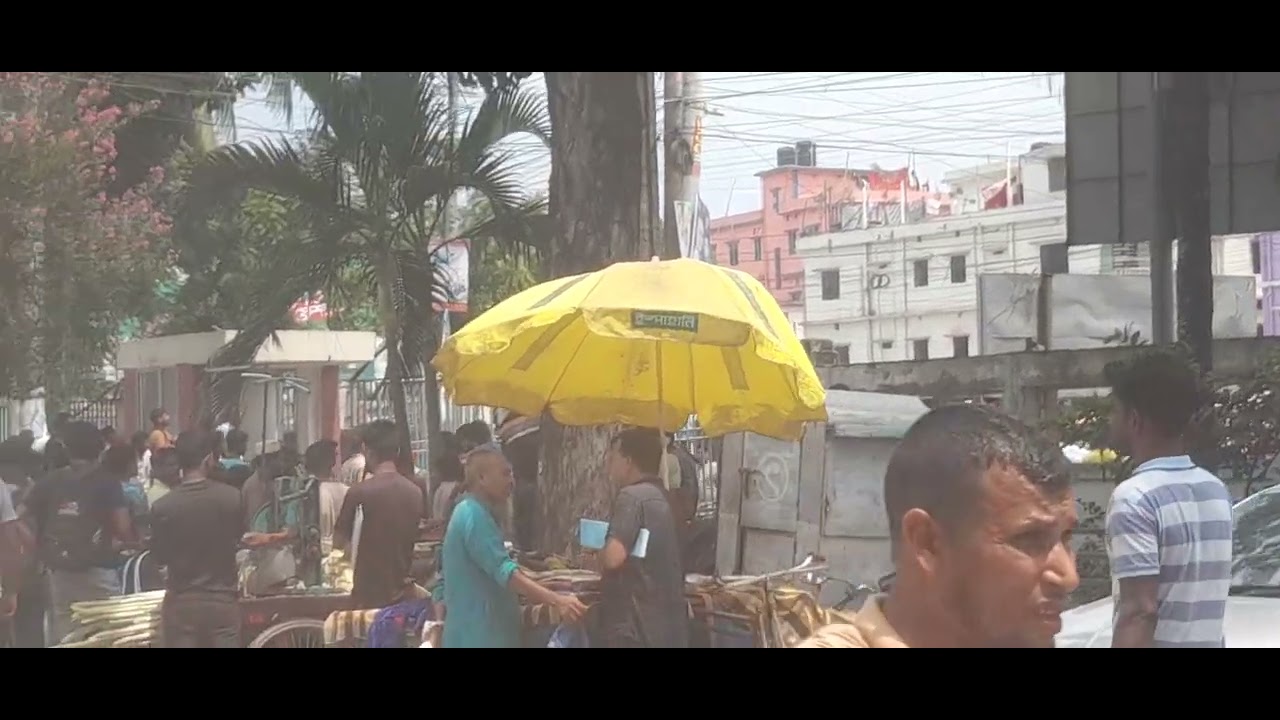 Gaibandha D C Office