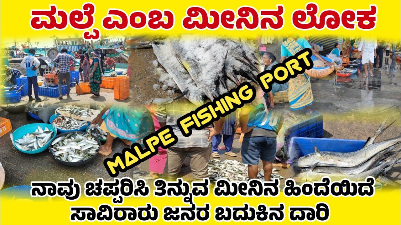 Malpe fishing port | Thousands of lives are behind the fish we eat.