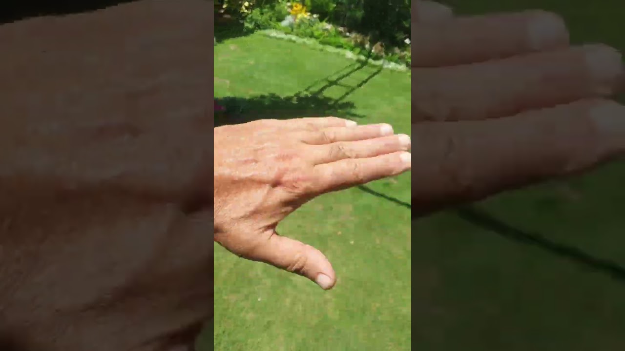 زراعة الثيل النجيل بالحدائق والعناية به ⚘️🌱جنتي حديقتي🌱⚘️