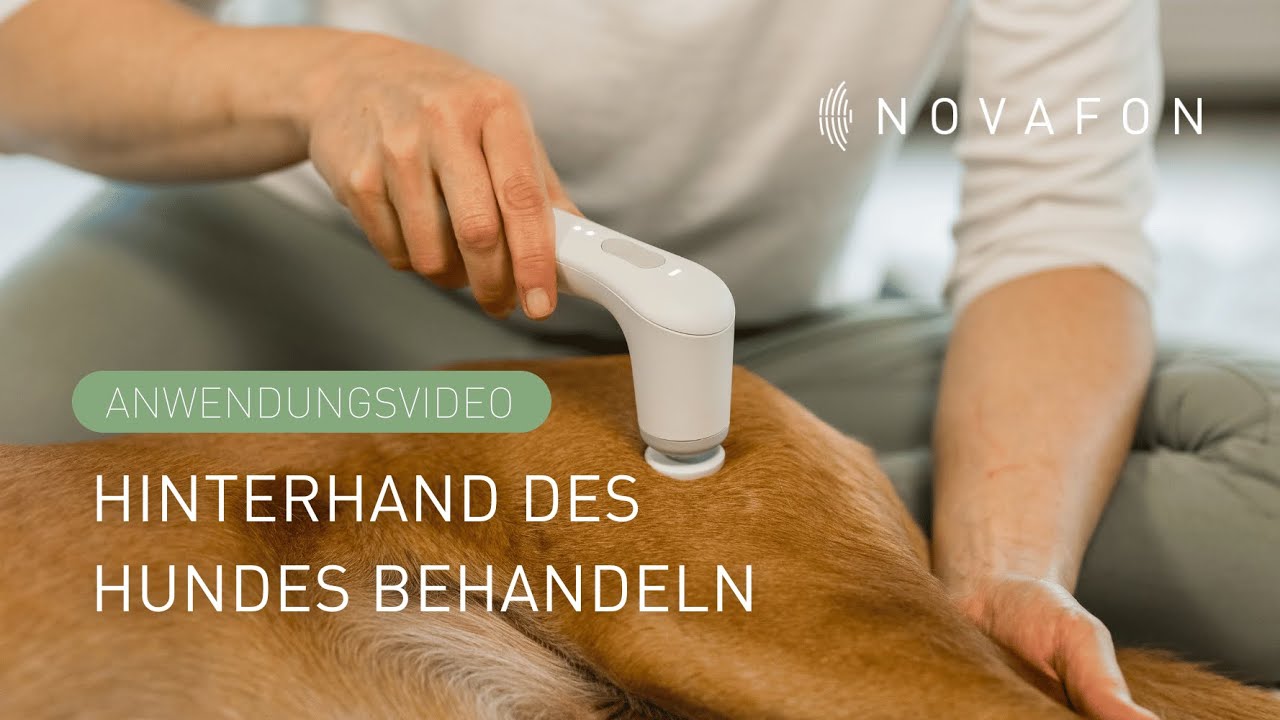Hinterhand des Hundes und Muskulatur behandeln | Anwendungsvideo | NOVAFON