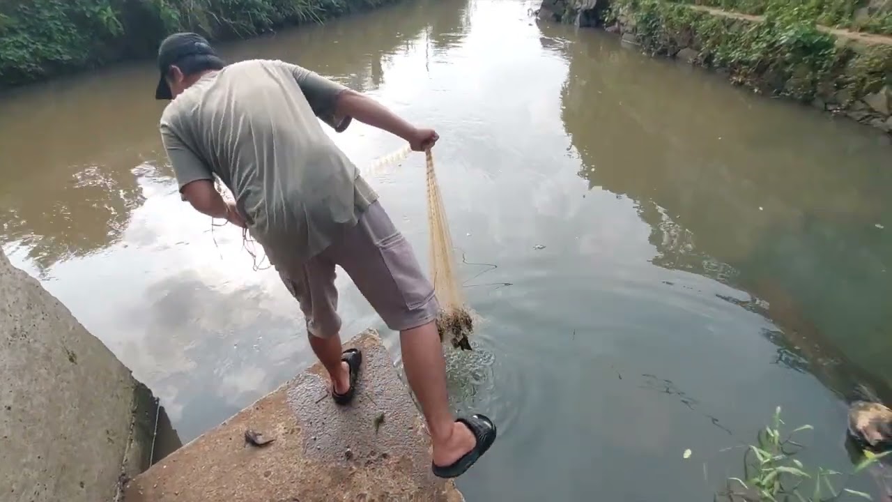 Jackpot Bolo