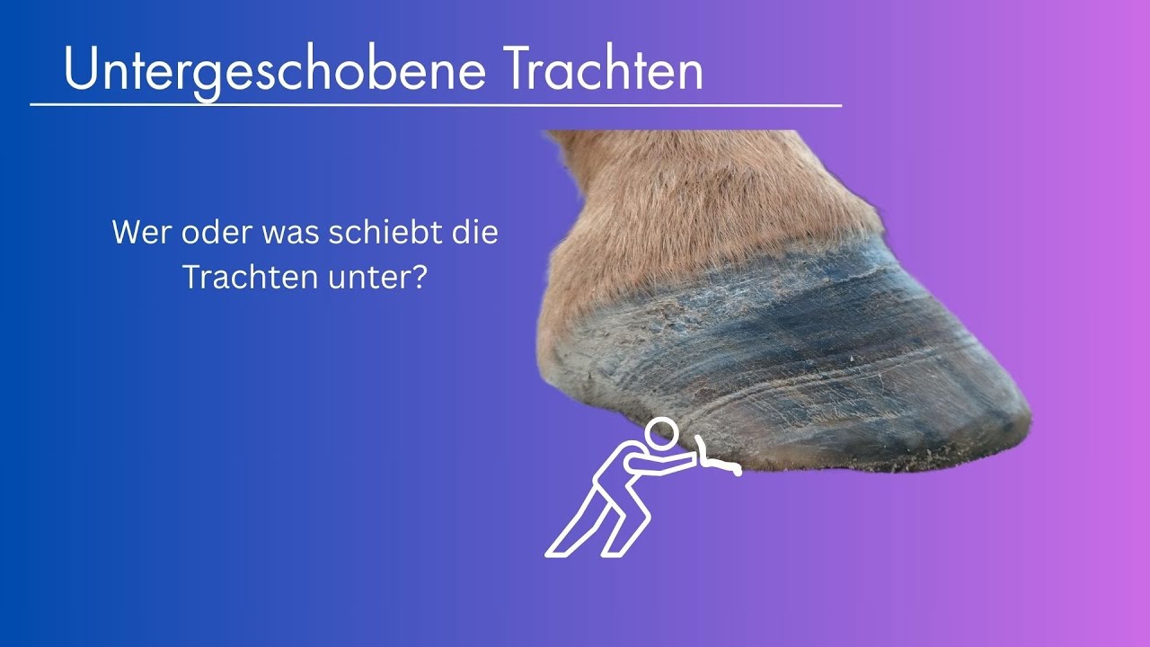 Faszination Huf - Untergeschobene Trachten