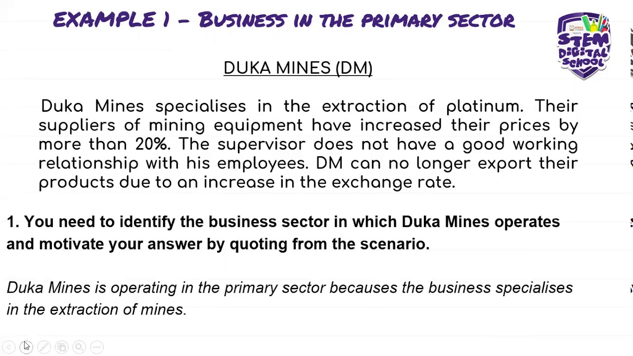 Grade 12 - Business Studies | Business Sectors and Their Environments #2