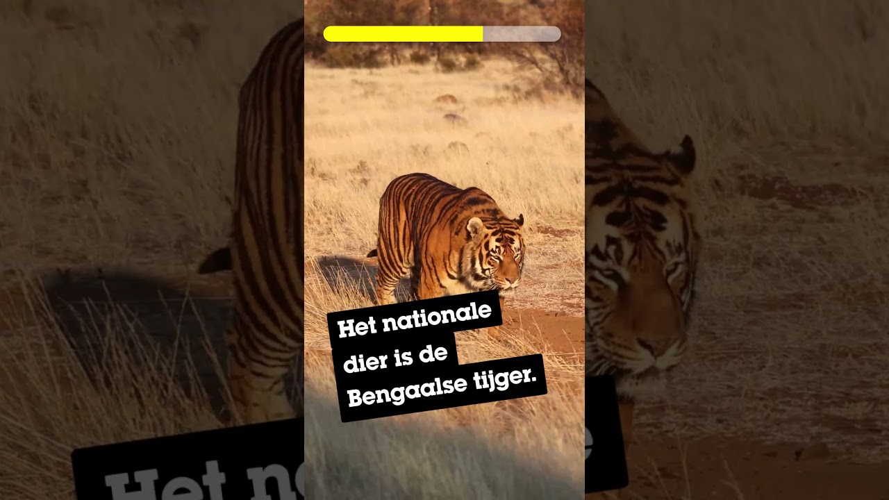 Quiz! Raad het land! | Klimaatkamioenen 🌎 | 