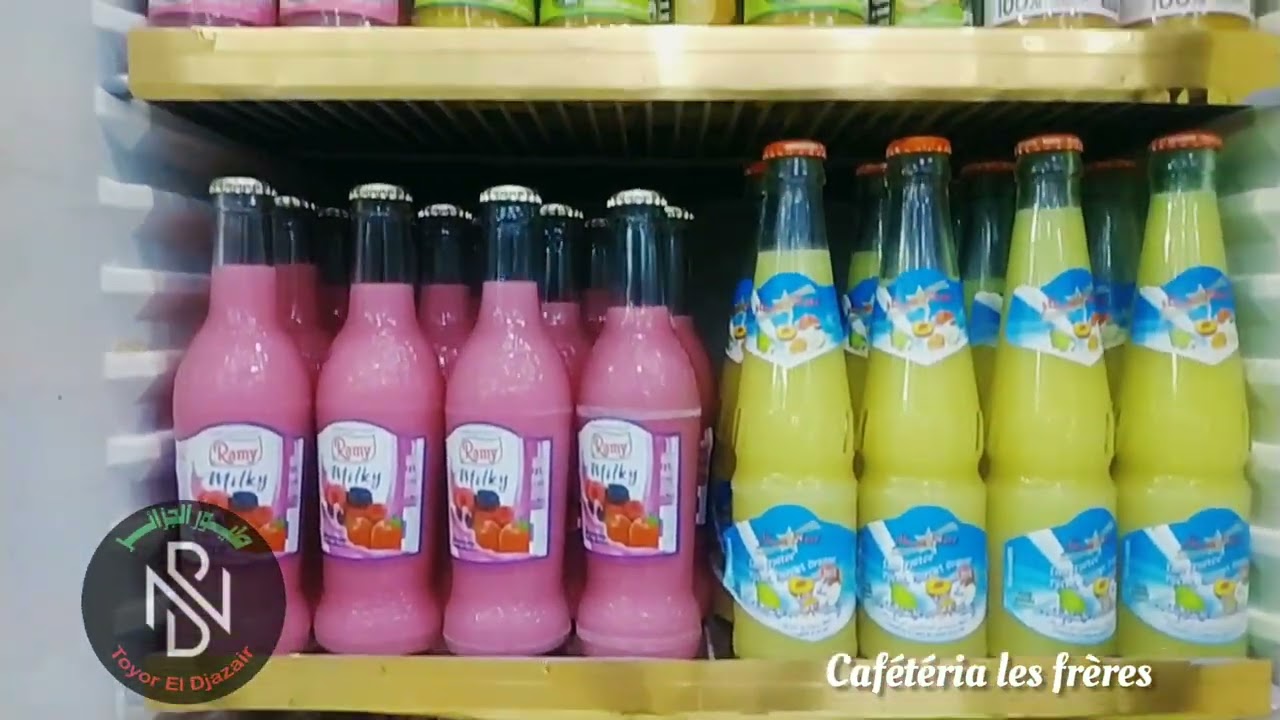 Café Ain-Taya TOYOR EL DJAZAIR ARTISTE Cafétéria les frères B.N  Ain-Taya