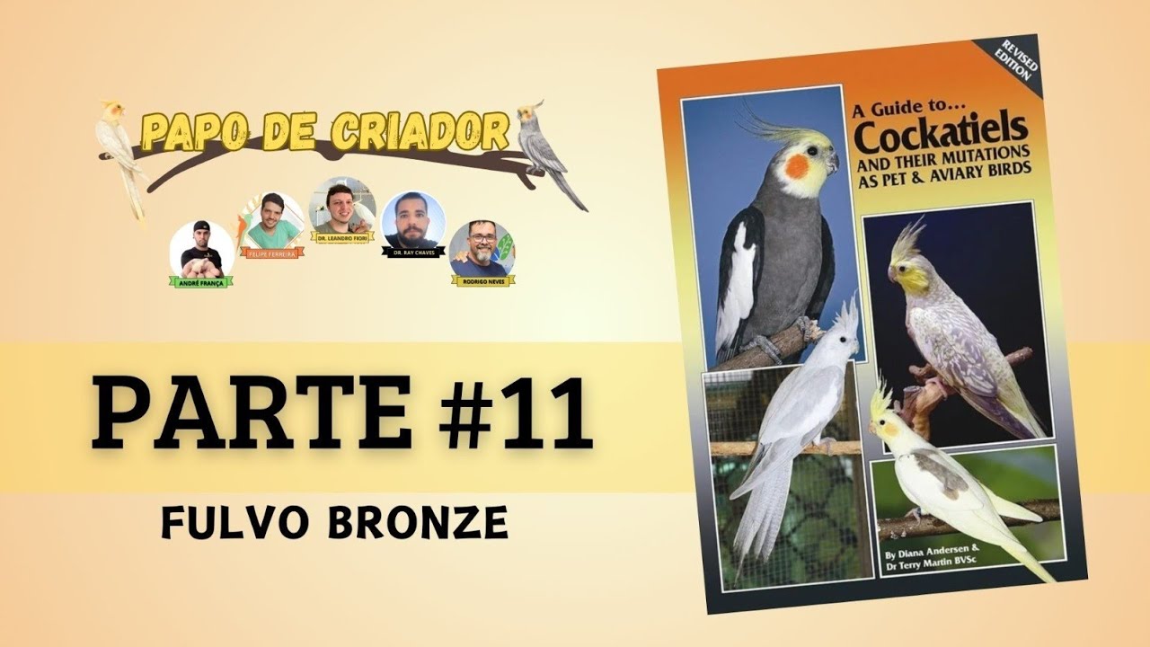PAPO DE CRIADOR - ESTUDO DO LIVRO 