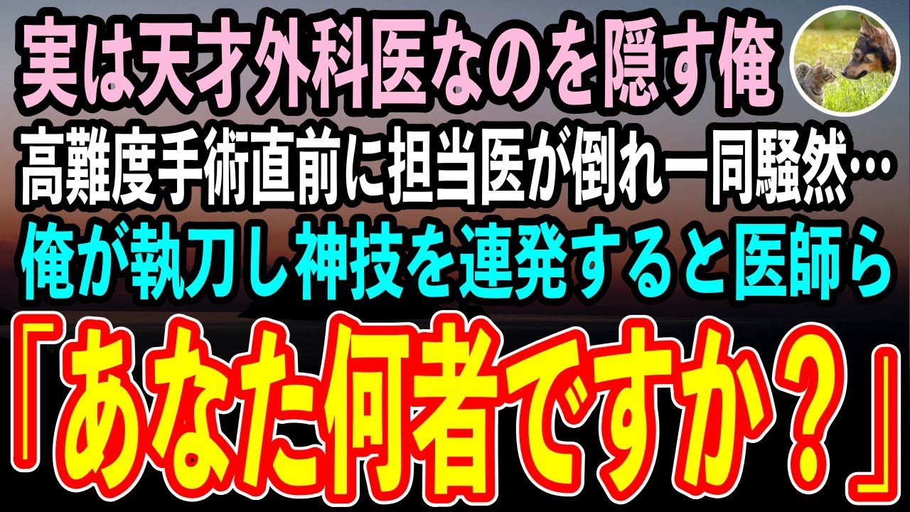 【感動する話】海外で天才外科医と称されたことを隠し無能を演じる俺。ある日高難度手術担当の名医が手術直前に倒れ一同騒然…俺が執刀すると他の医師ら「あなた何者ですか？」【泣ける話いい話朗読】