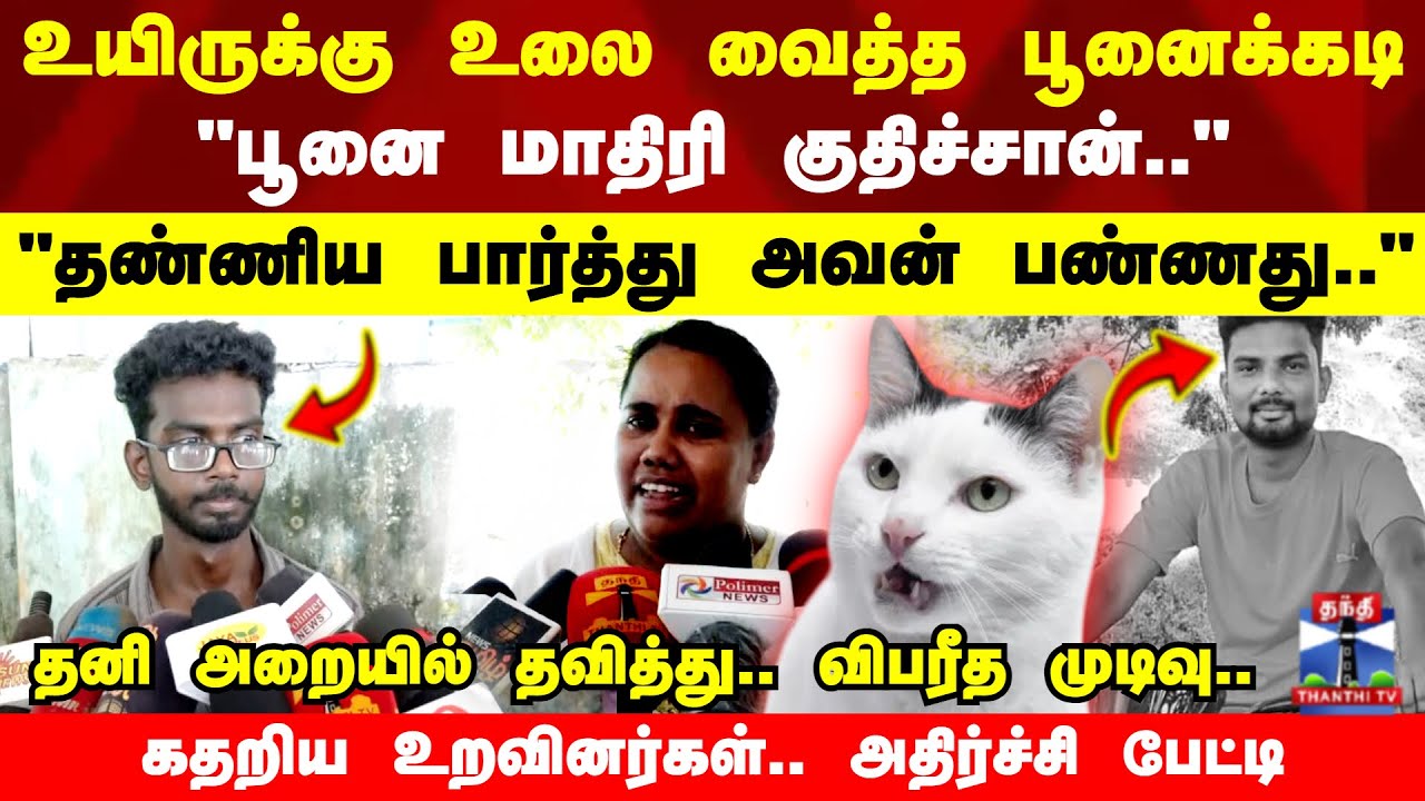 உயிருக்கு உலை வைத்த பூனைக்கடி.. 