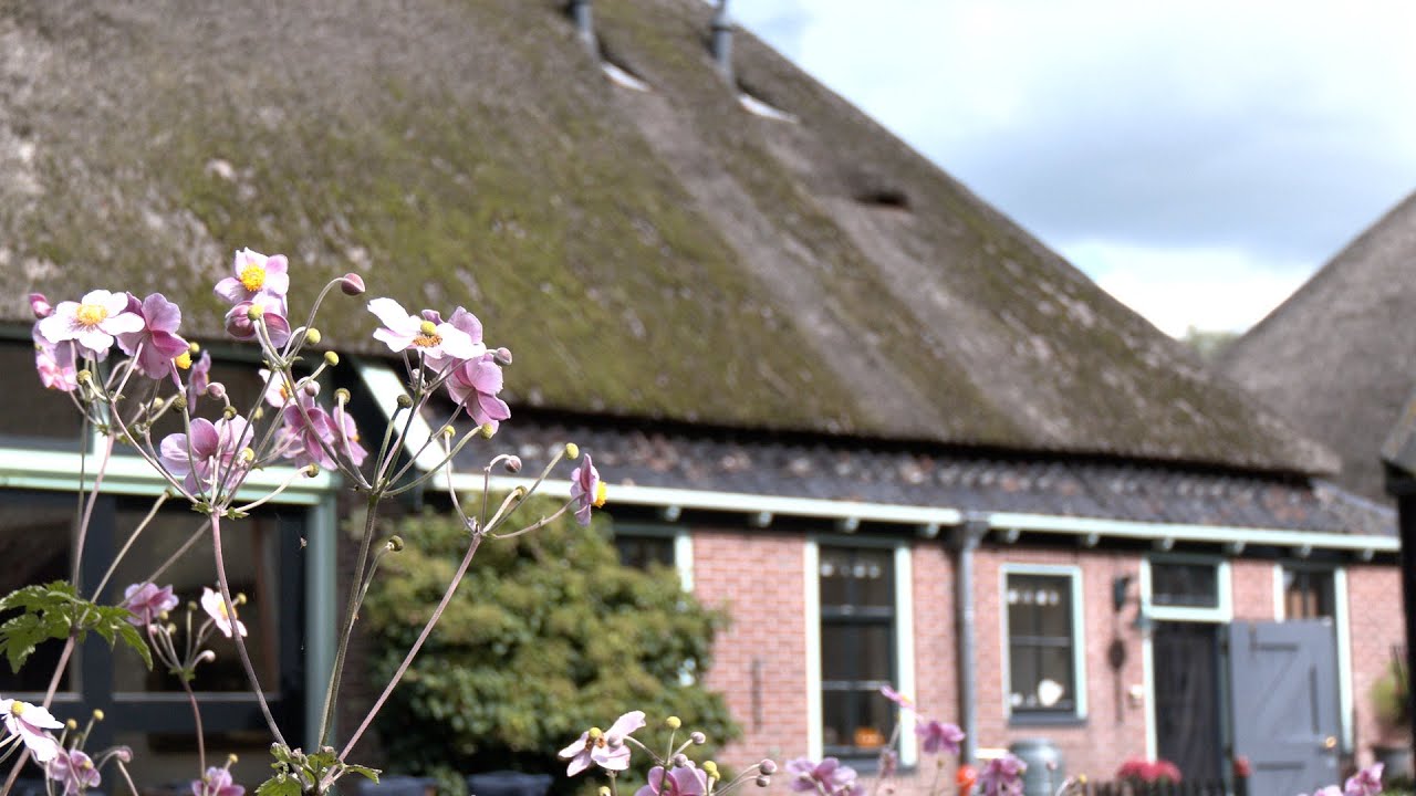 Wonen in een monument: last of lust?