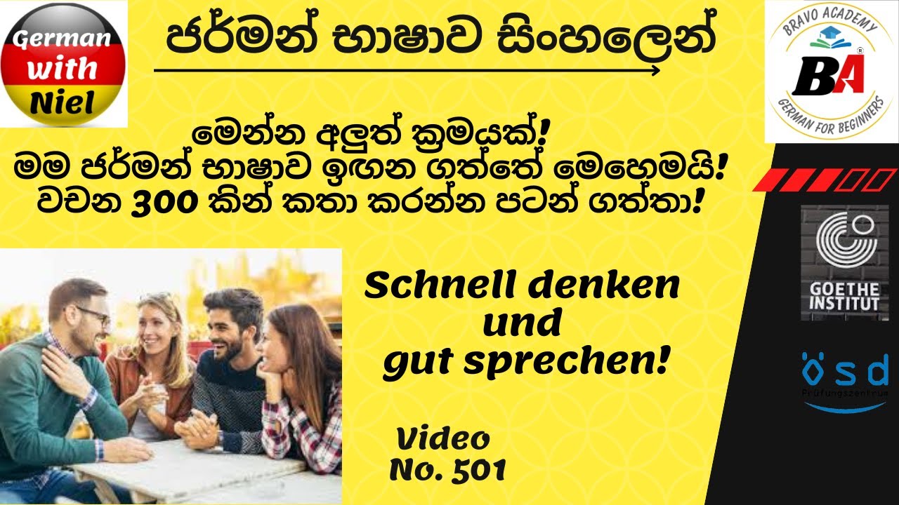 මෙන්න ක්‍රමය | මම ජර්මන් භාෂාව ඉඟන ගත්තේ මෙහෙමයි! | වචන 300 කින් කතා කරන්න පටන් ගත්තා! (No.501)