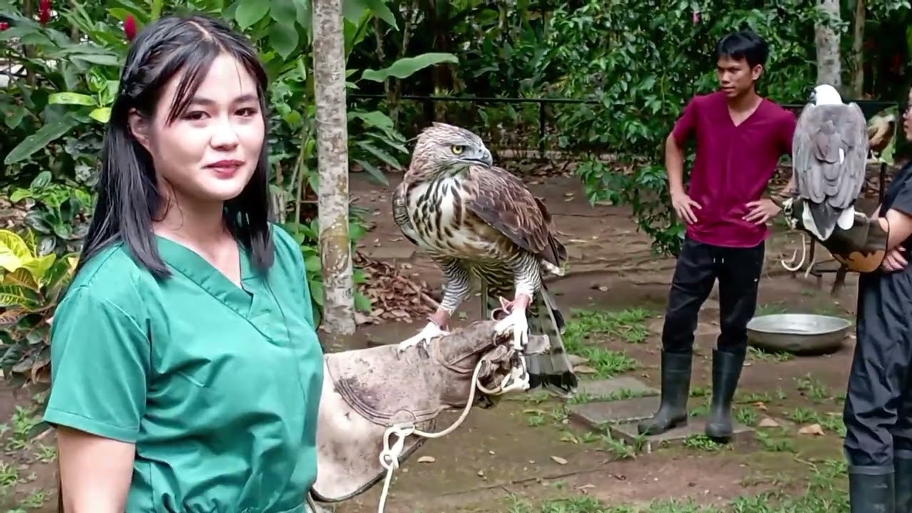 Phillippine Eagle @ Davao 🦅 Part 02 with Siakol