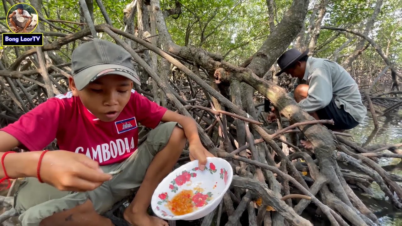 ដើរកាប់គាស់អយស្ទរក្នុងព្រៃកោងកាងតាមកោះលើផ្ទៃសមុទ្រខ្មែរ FIND OYSTERS ON KORNG KANG ISLAND 4K VIDEO