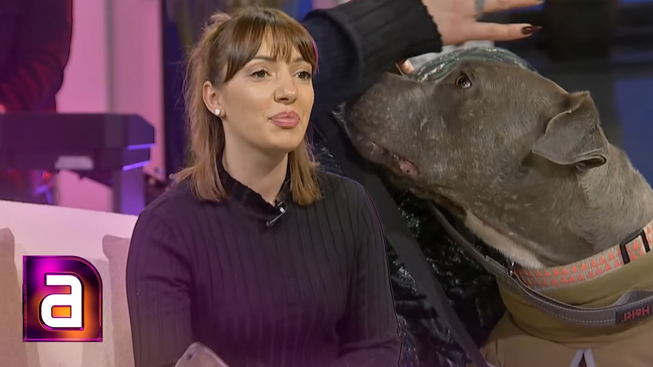 E ftuara vjen me PITBULLIN e saj në studio - Ka 5 mace e 4 qen në shtëpi