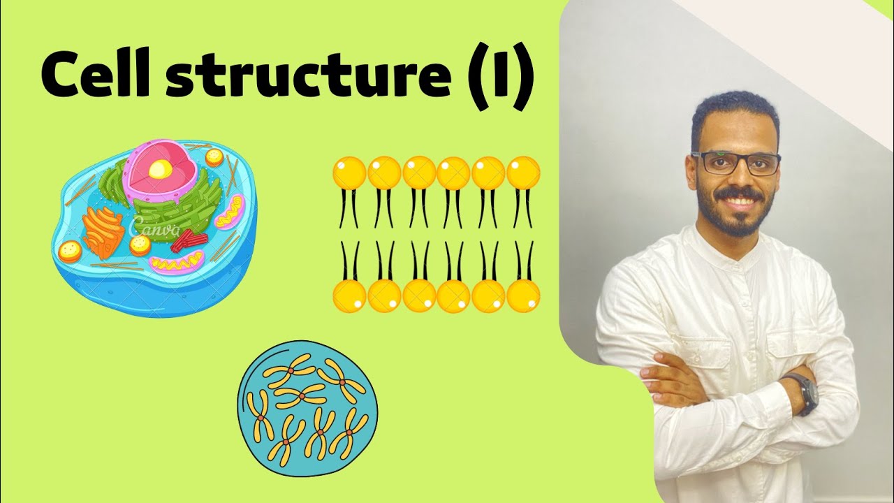 Cell structure I -Biology 1st secondary egypt 1st term | Unit 2 ابراهيم خلف