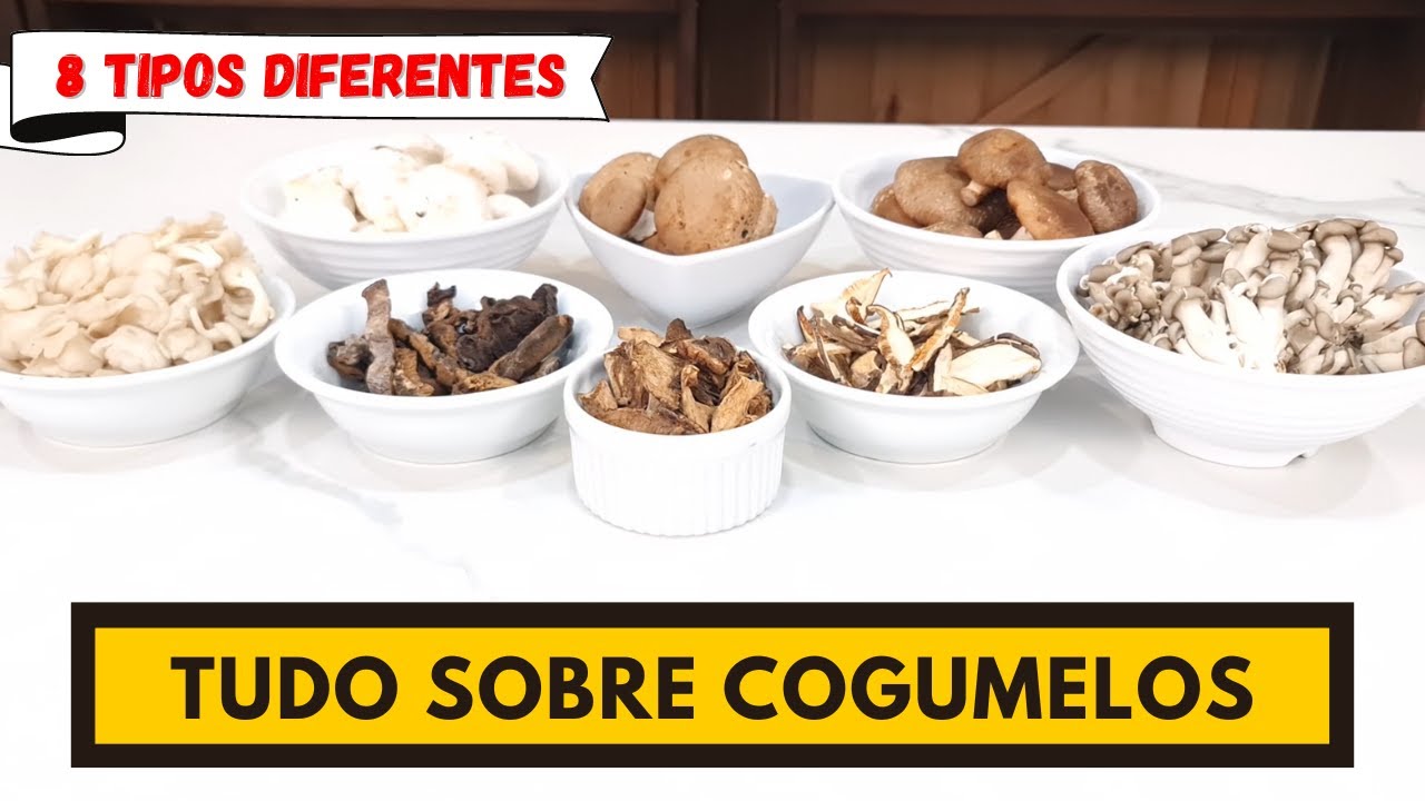 TUDO SOBRE COGUMELOS!!!
