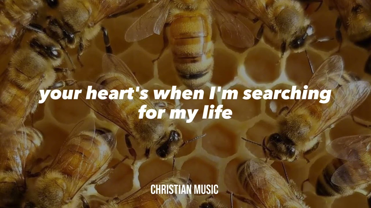 -Milk and Honey- by Strings and Heart (lyrics)
