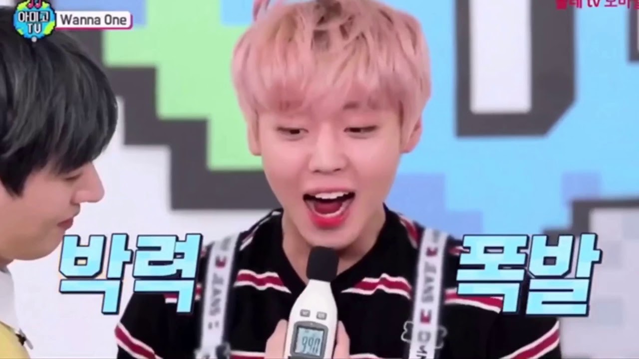 [판윙/panwink/罐昏]King of Reaction – LAIKUANLIN