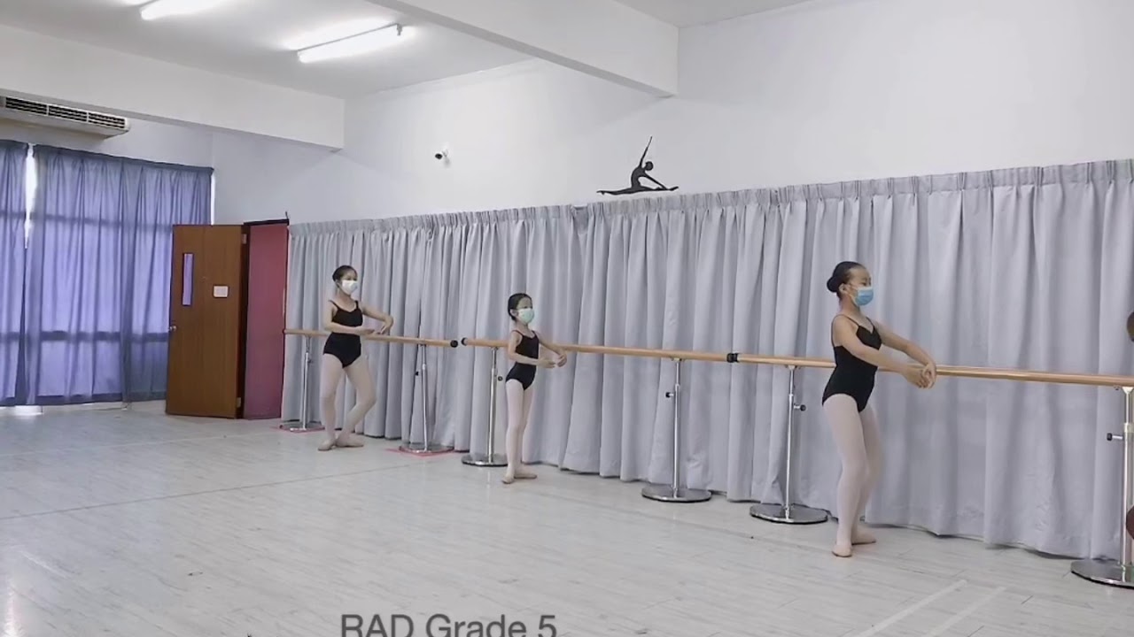 RAD Ballet Grade 5 Plies