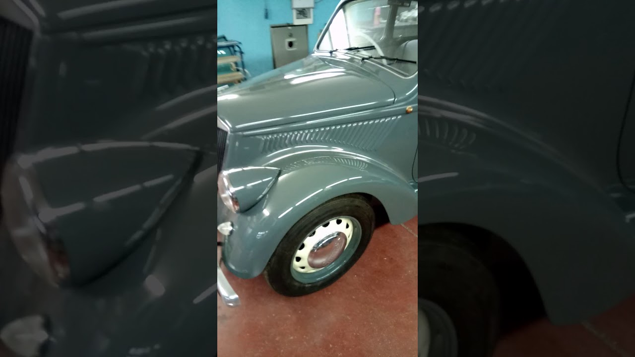 Lancia ardea