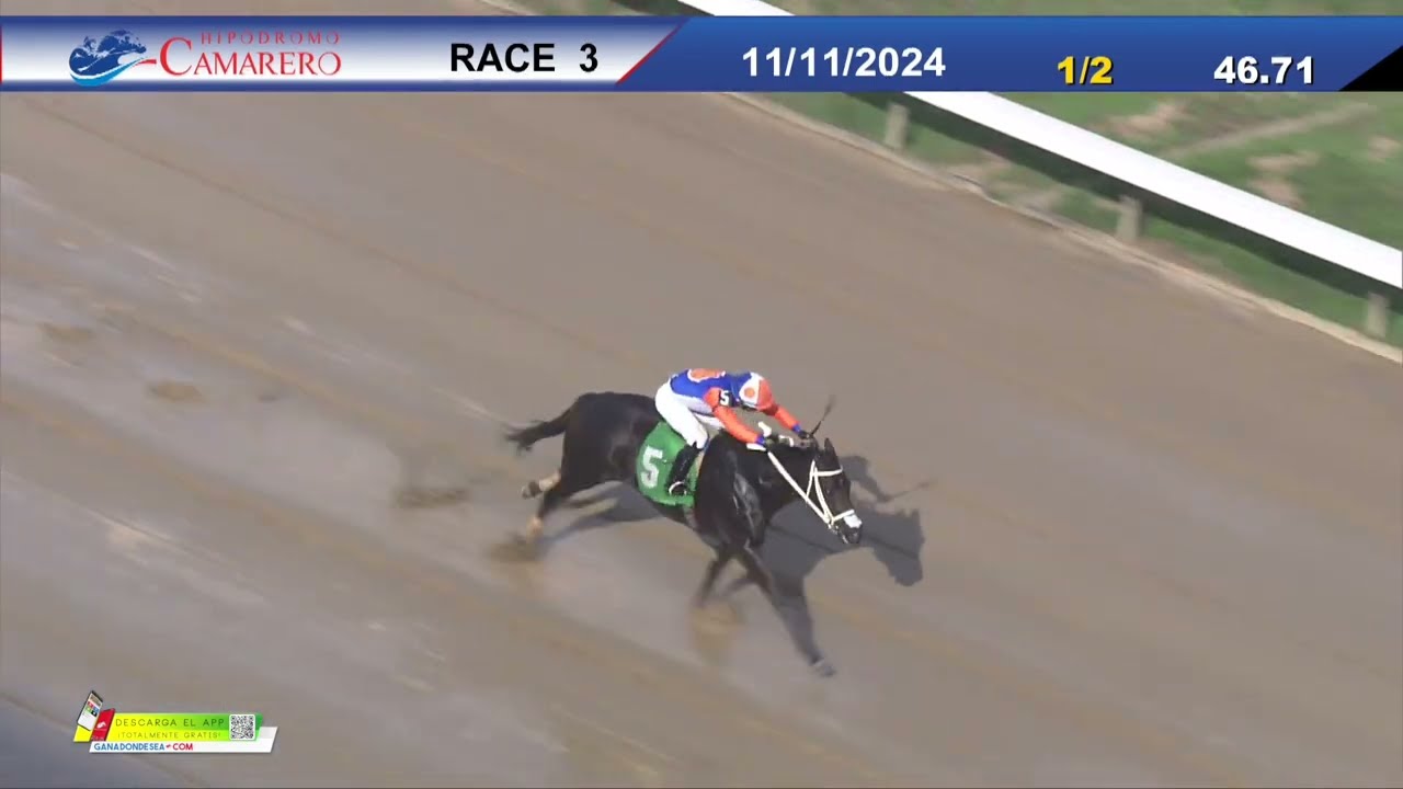 CARRERA 3 - 11/NOVIEMBRE/2024 (COACH ALBERT LADY)