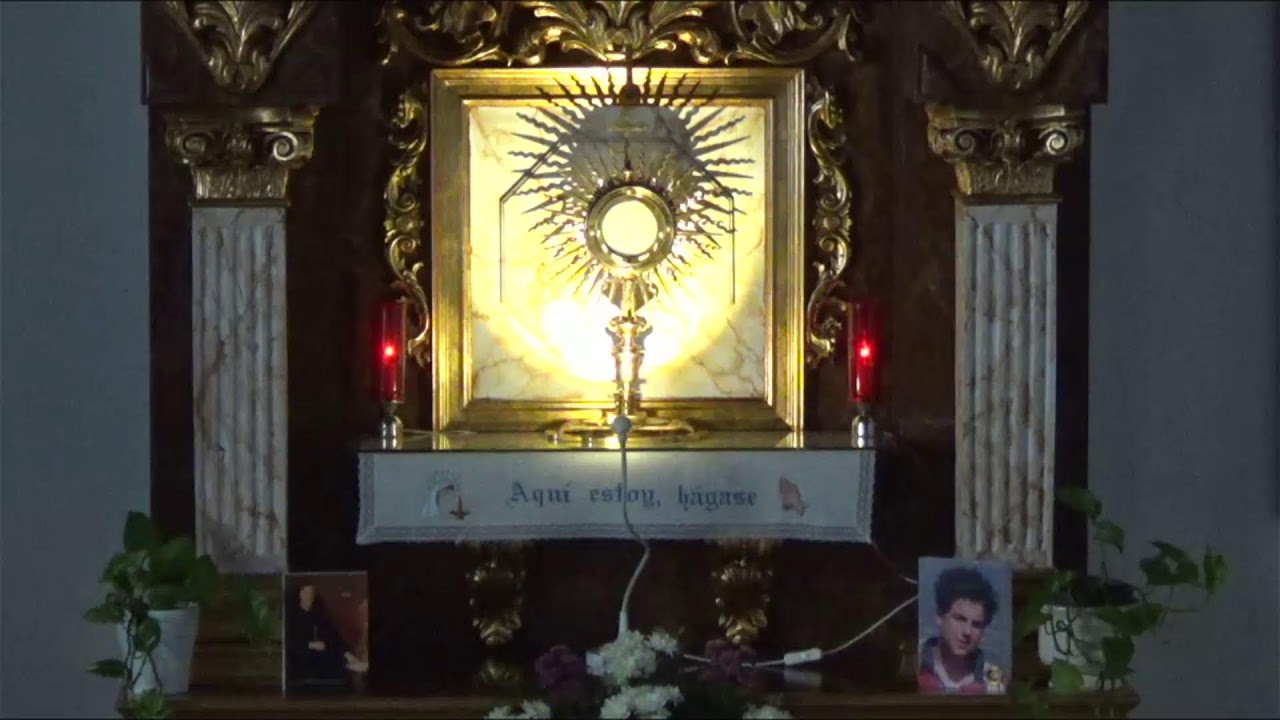 ADORACIÓN EUCARÍSTICA PERPETUA