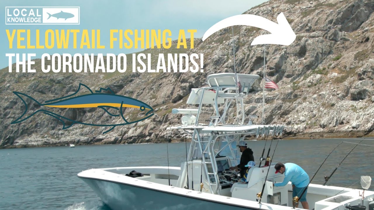 Yellowtail Fishing at the Coronado Islands + Rush Goes Dorado Fishing!