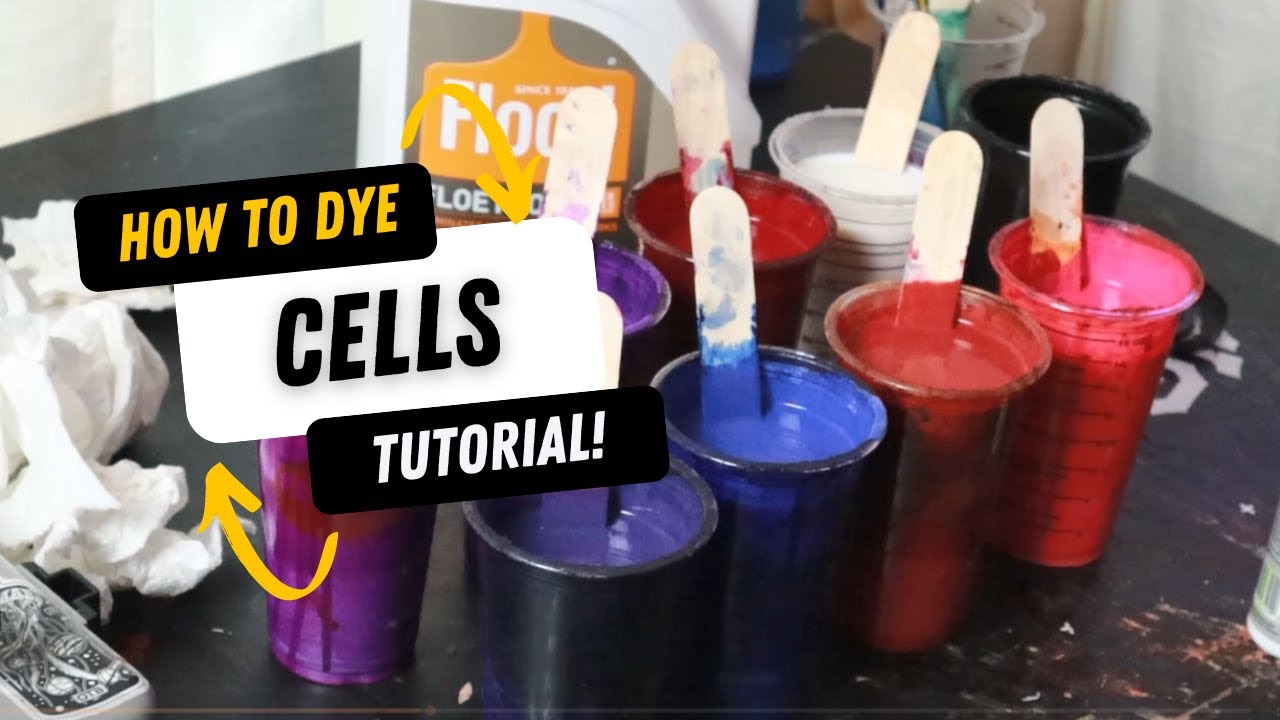 Cell bed tutorial