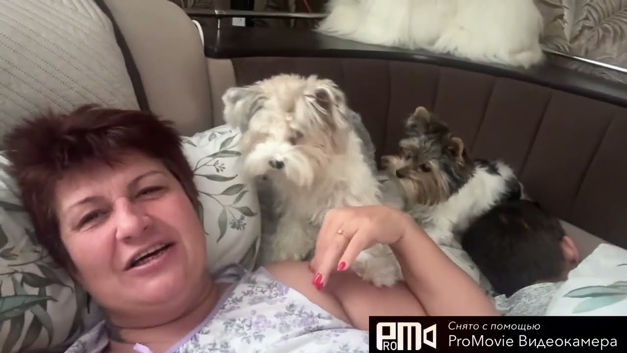 Рождественское утро😻Какие показания у меня были при онкологии почки🤫#дневникбагиры