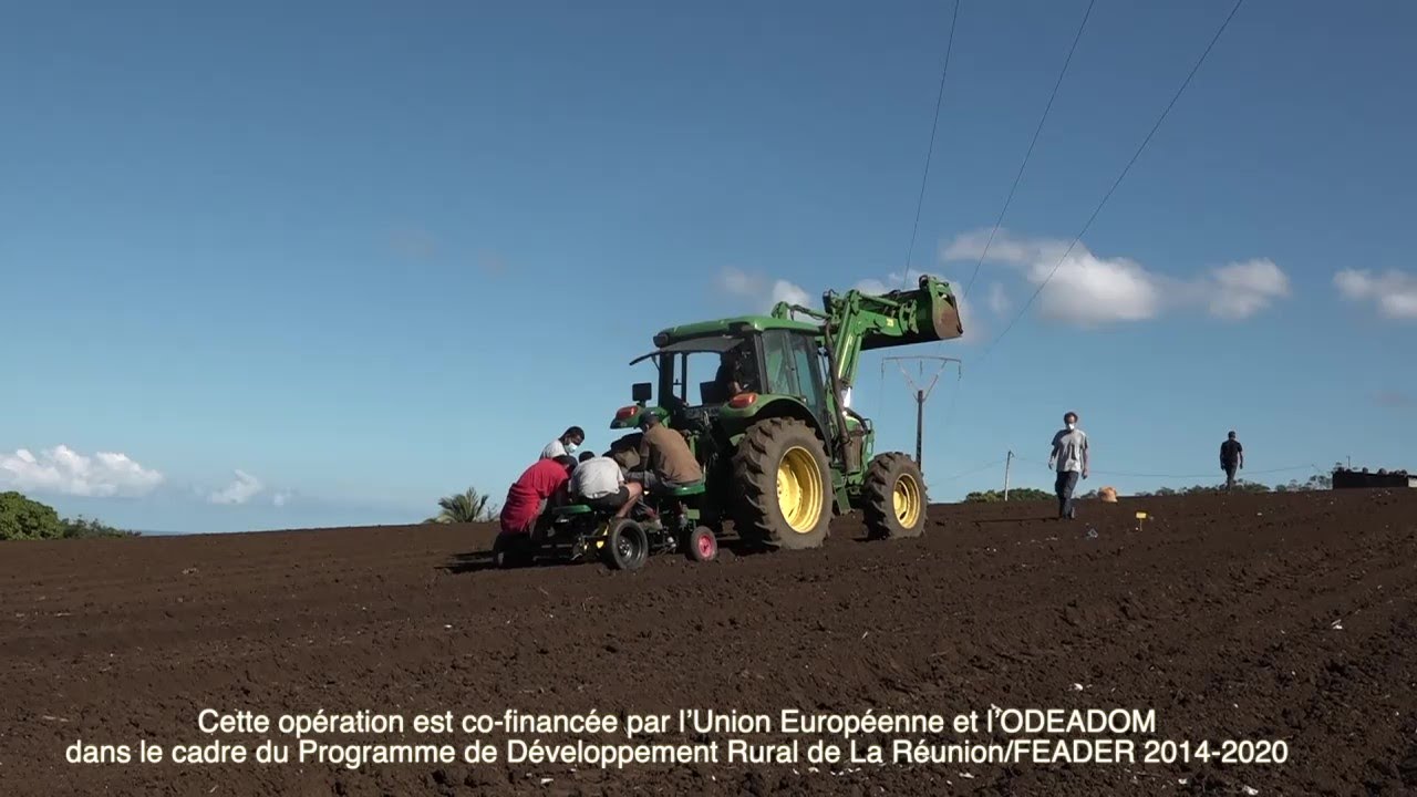 Plantation mécanisée de l'ail à La Réunion