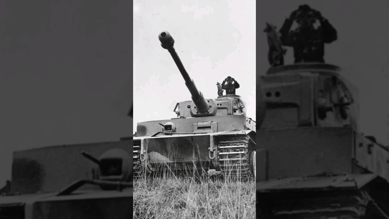 Armata Tygrysa - zab&oacute;jcze 