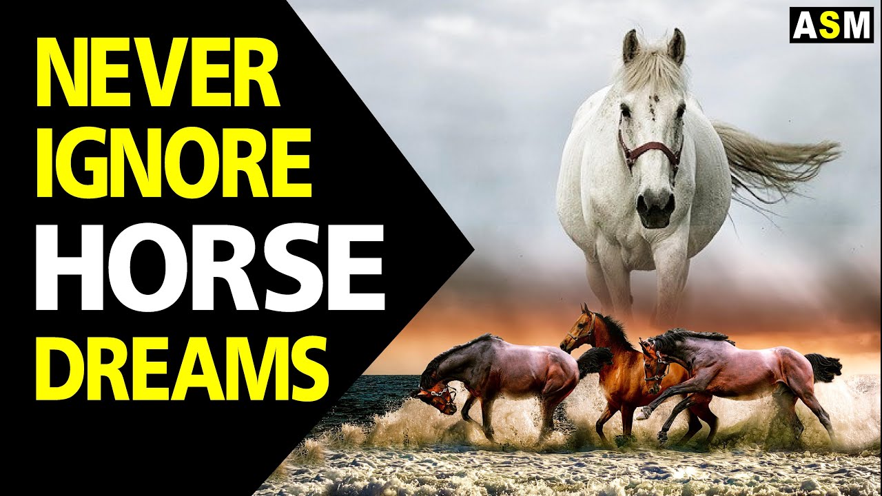 What does Horse dream meaning | Dreaming of horse | Horse dream interpretation