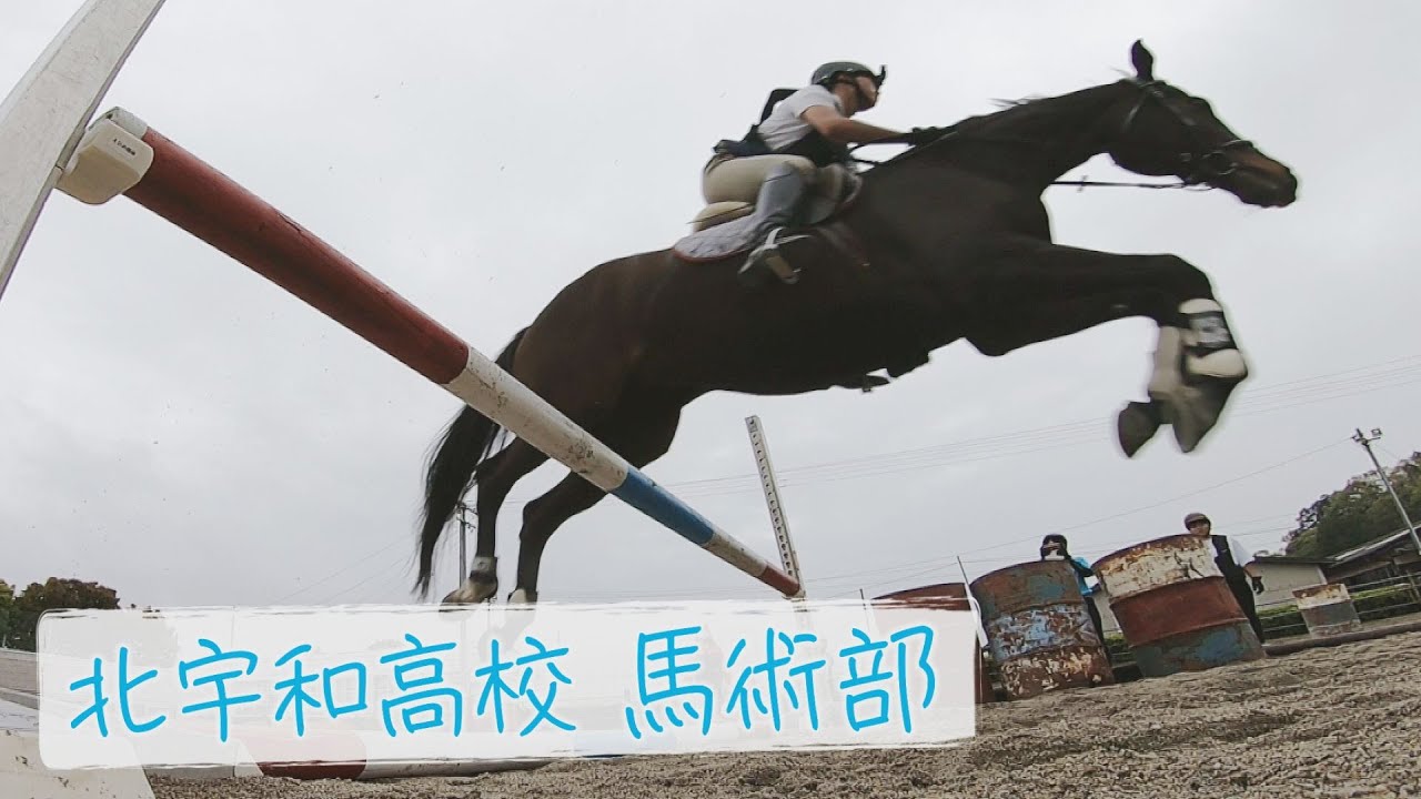 ”日本競馬の至宝”「ディープインパクト」その息子は愛媛の小さな町にいた！”ウマ中心”馬術部の1日に密着！