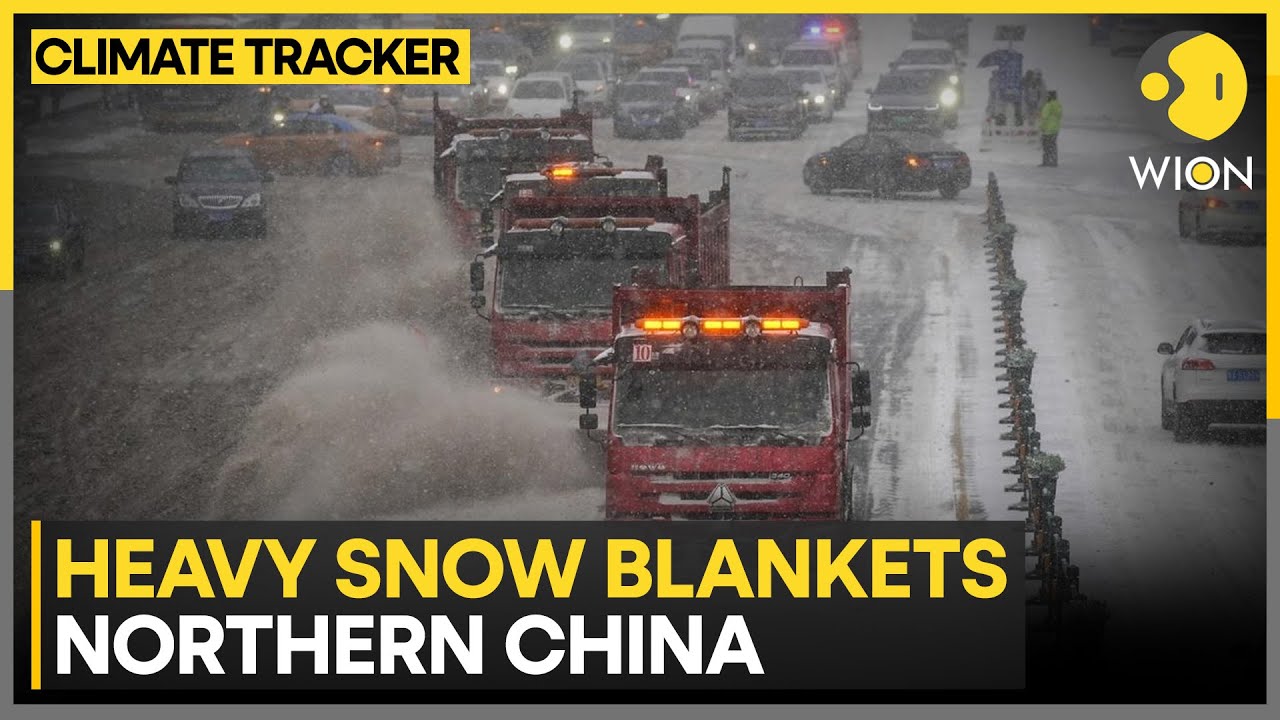 North China Snowfall: Freezing Cold, Windy Weather Likely to Persist | WION CLIMATE TRACKER