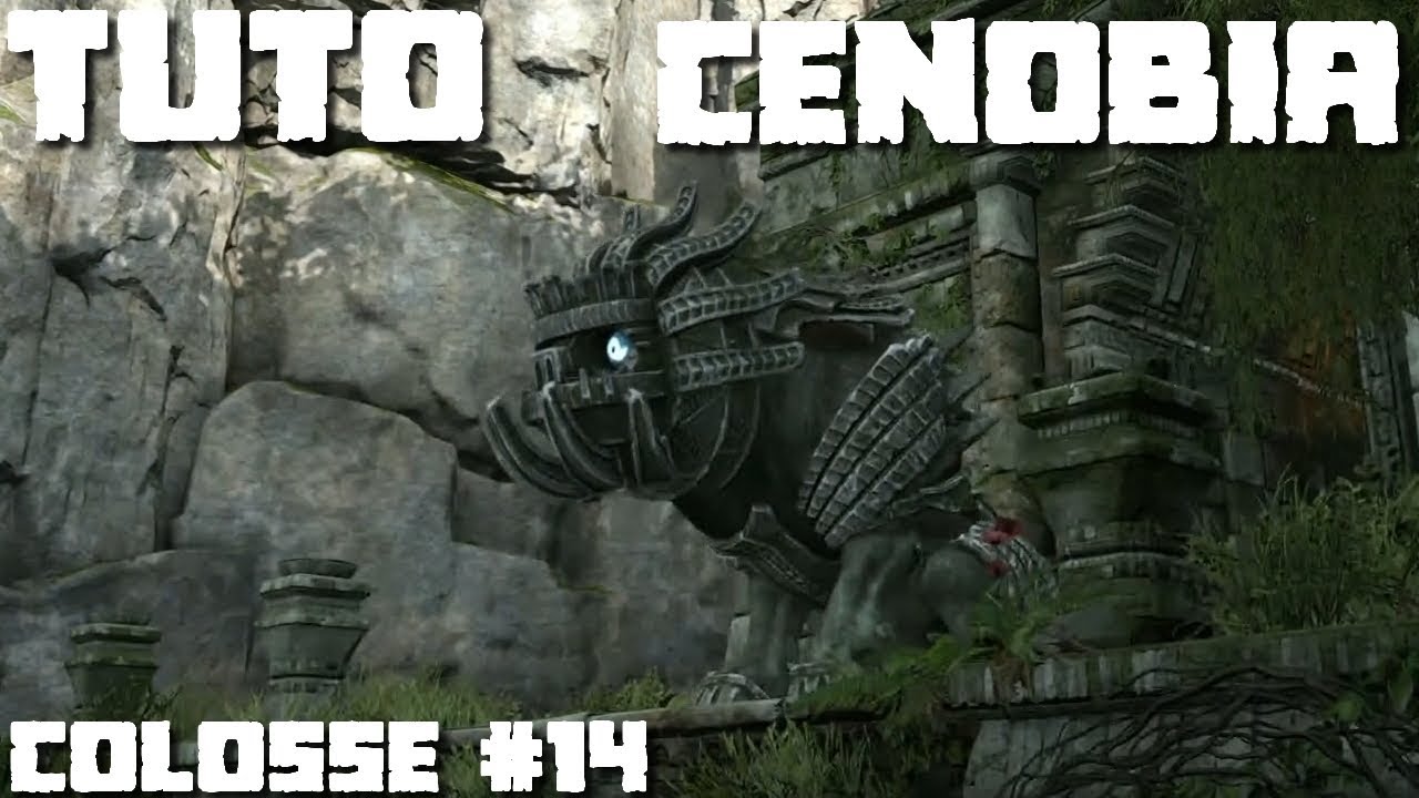 Tuto FR Colosse #14 CENOBIA (Normal / Time Attack) SHADOW OF THE COLOSSUS (REMASTERED)