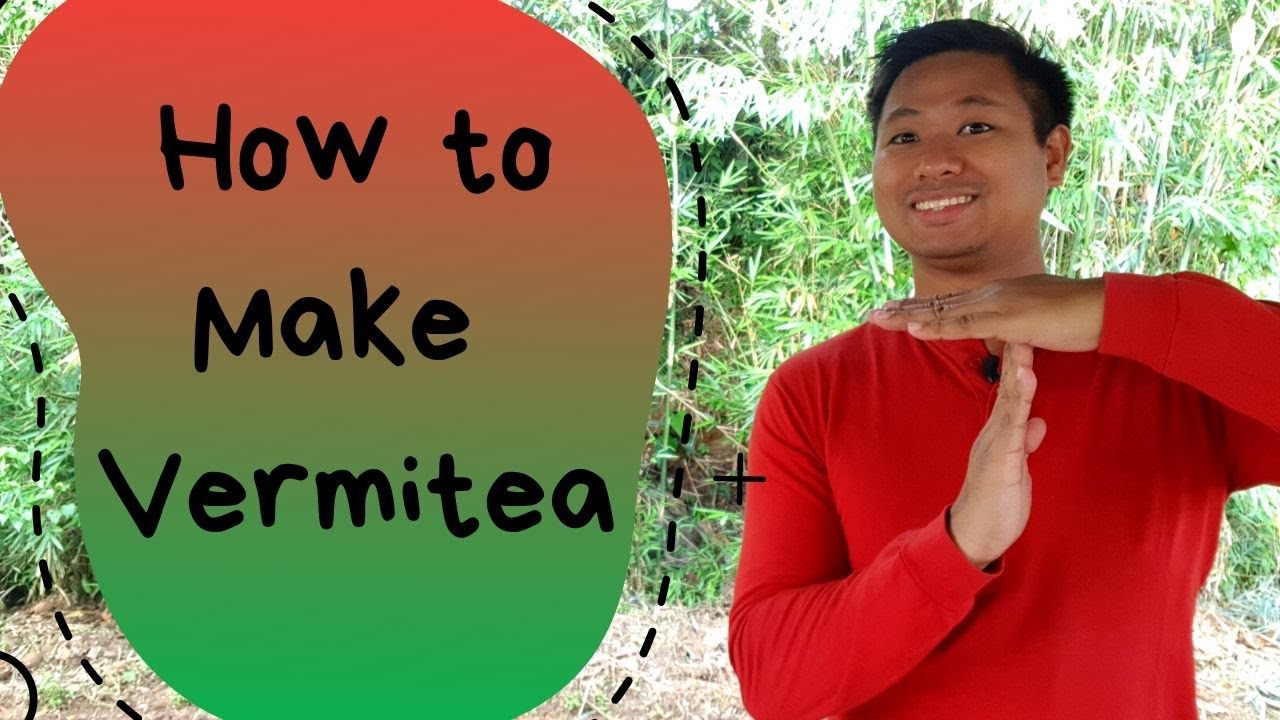 How to make Vermi-Tea (Paano mag timpla ng Vermitea)